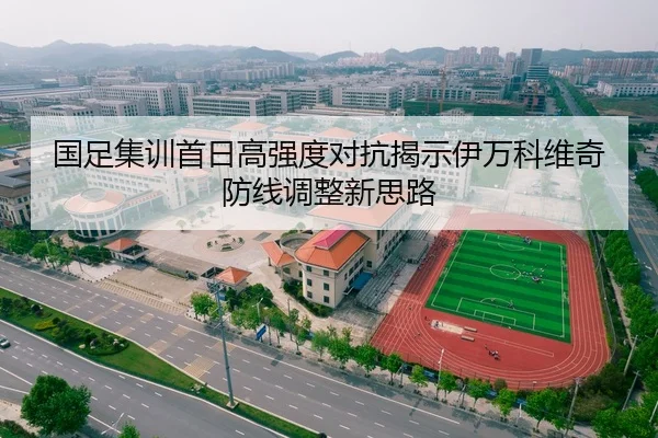国足集训首日高强度对抗揭示伊万科维奇防线调整新思路